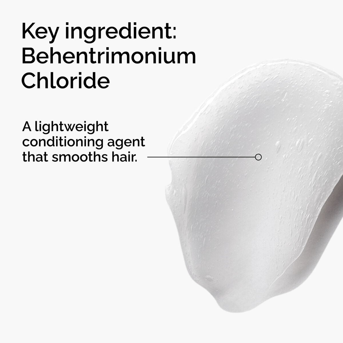 behentrimonium-chloride-2-conditioner-v7 FY25-D41247-ORD-Web-PDP-BTC-1x1-EN-2a.jpg