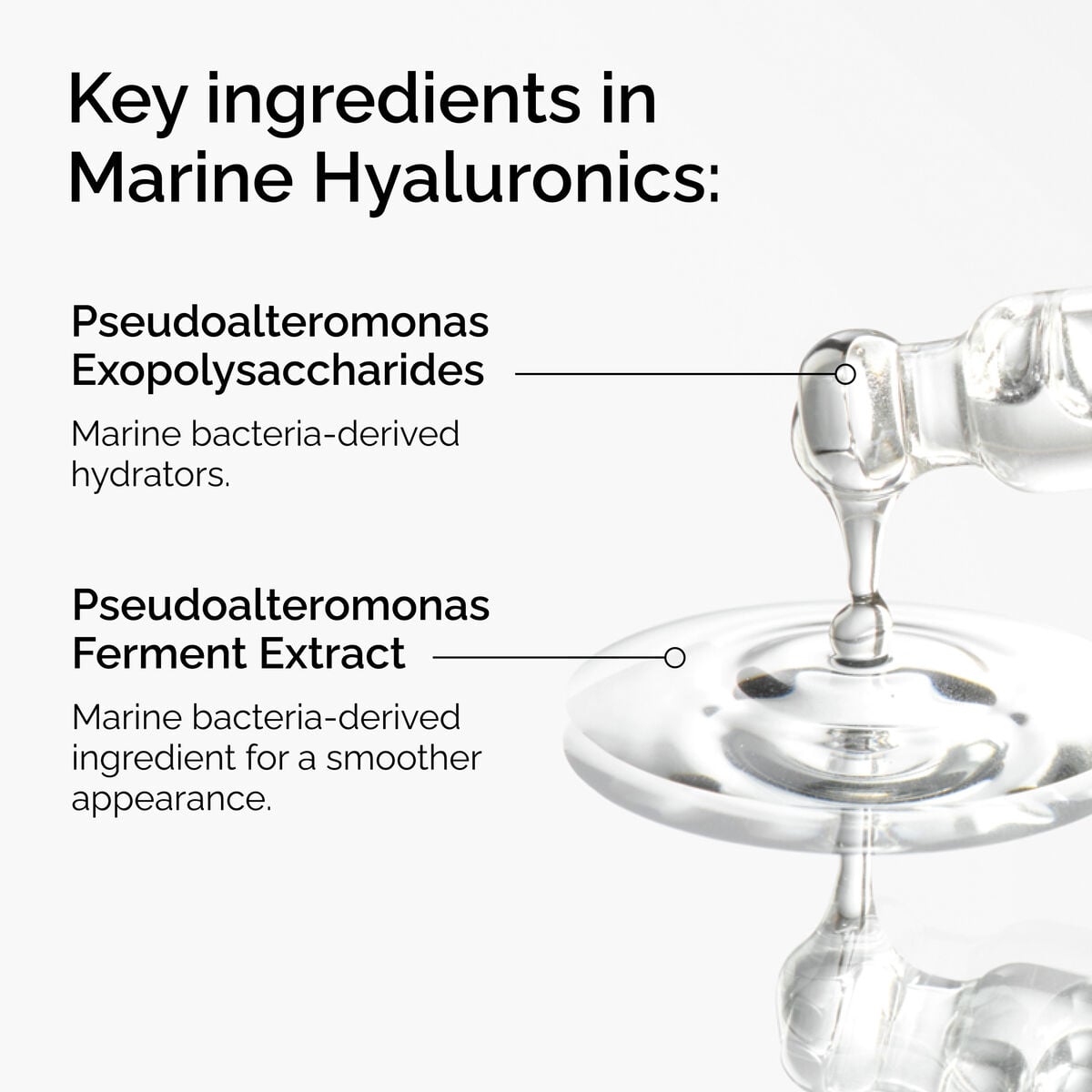 marine-hyaluronics-r1 FY25-D41247-ORD-Web-PDP-Marine-Hya-1x1-EN-2a.jpg