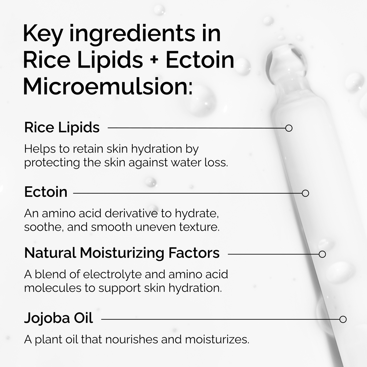 rice-lipids-ectoin-microemulsion-e8 ord-rice-lipids-ectoin-microemulsion-key-ingredients.png