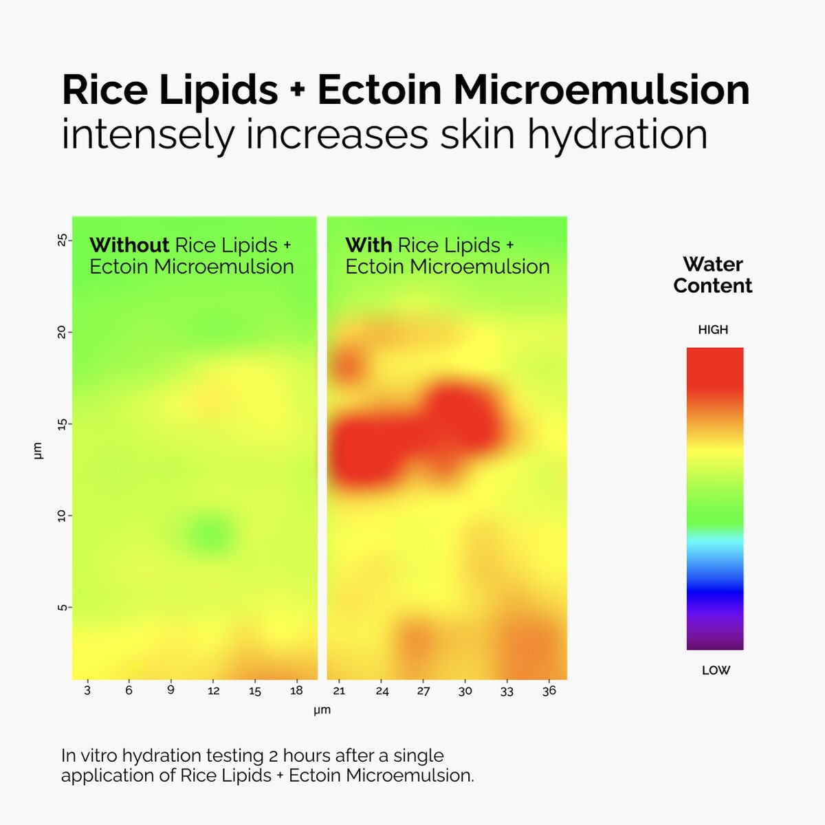 rice-lipids-ectoin-microemulsion-e8 ord-rice-lipids-ectoin-microemulsion-thermal-before-after.jpg